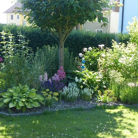 Lejlighed Jesse Braunlage