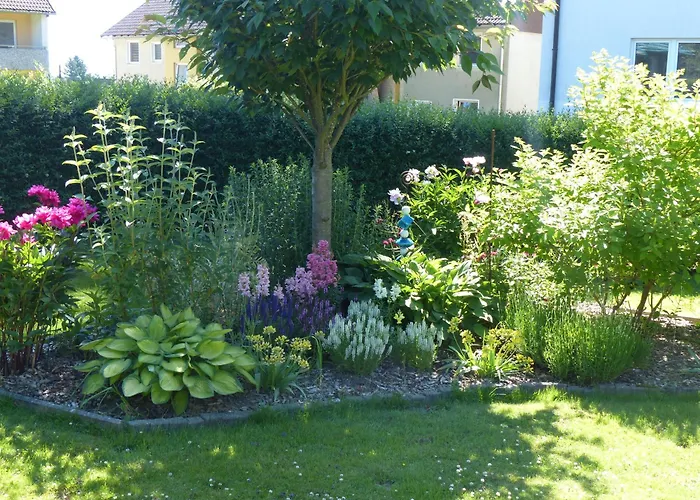 Apartman Jesse Braunlage